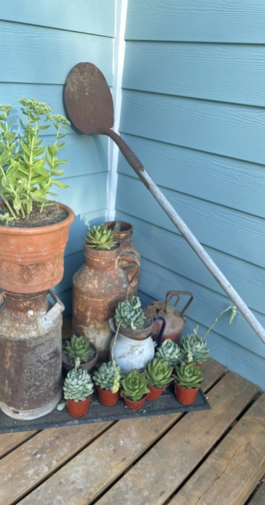 Mudroom porch farm for sale vancouver island