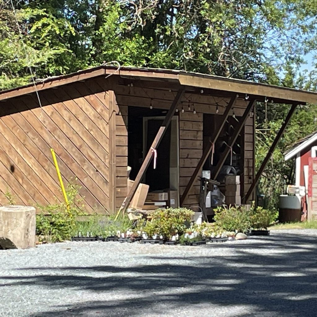 Woodshed
