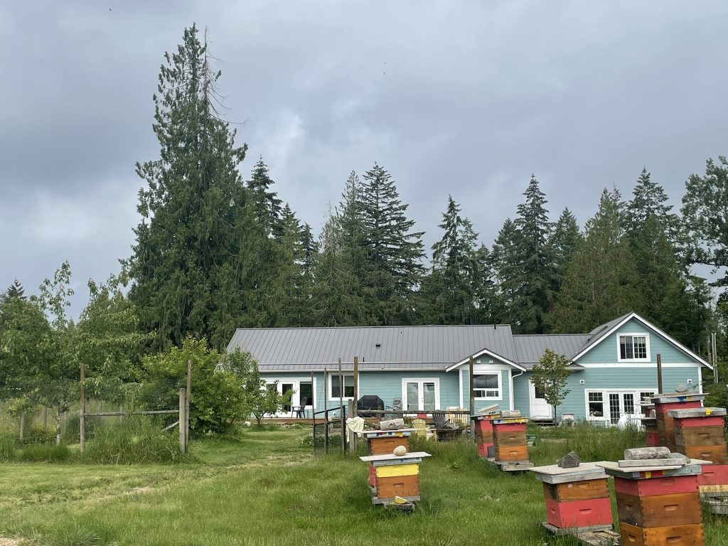 Rearview of home
