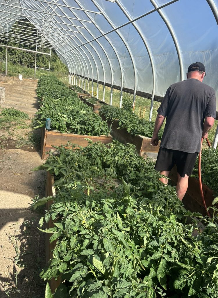 raised garden beds in large greenhouse