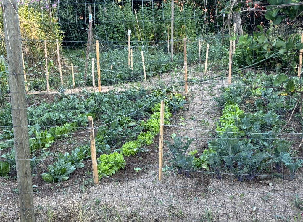 Fully fenced large Vegetable or flwoer garden. 5' fences.