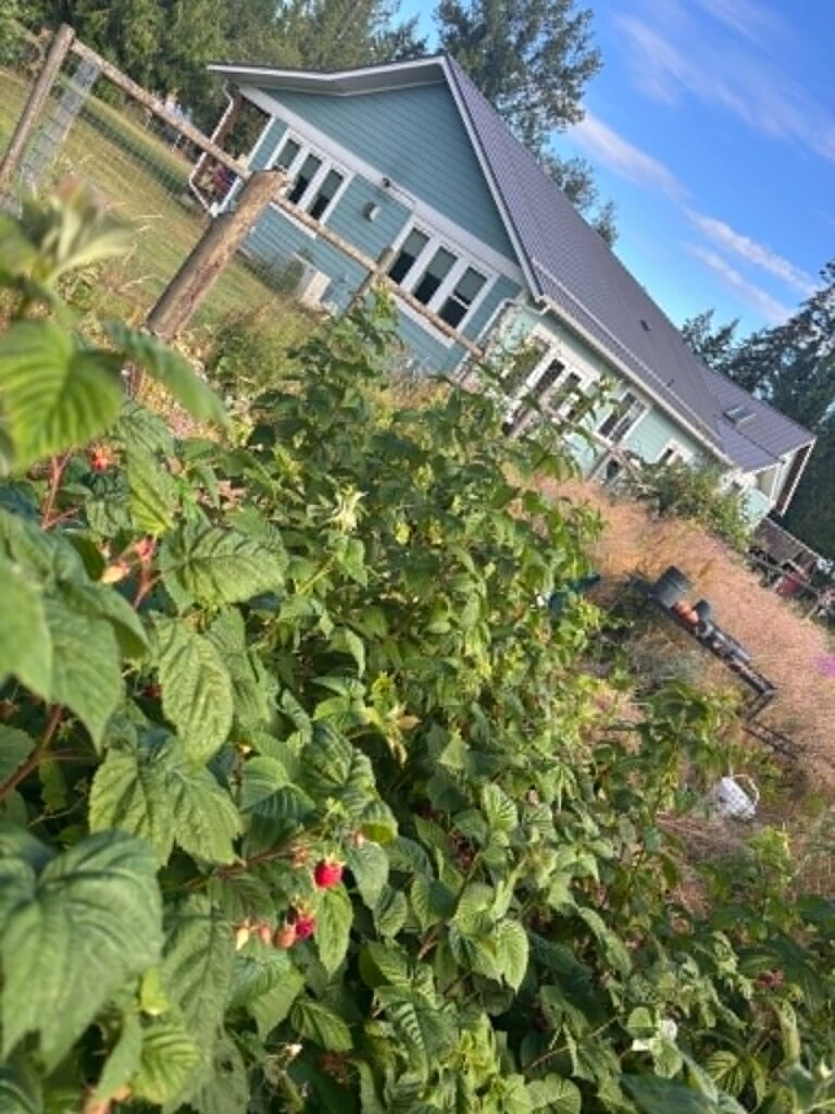 South Side of House.